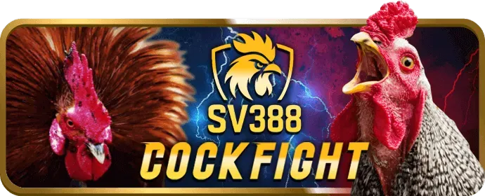 Chương trình hoàn trả hàng ngày 89bet1 chính thức